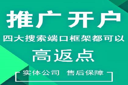 百度推广的广告投放策略案例